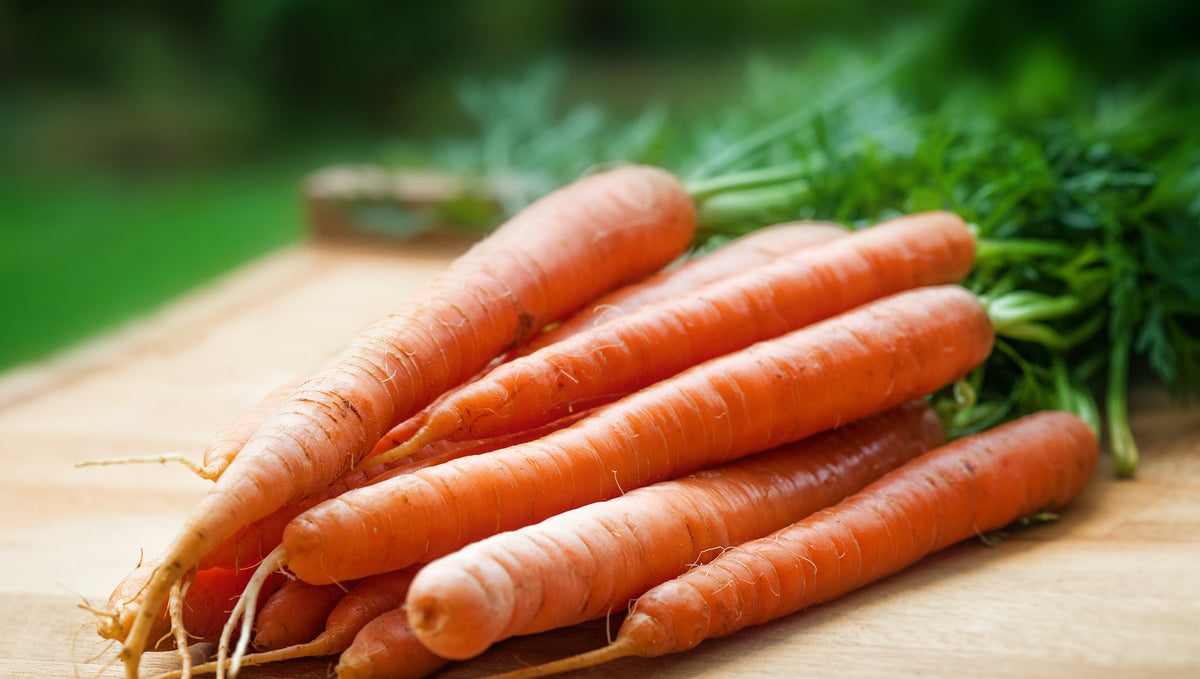 Carrot Juice Recipe with Orange & Ginger Recipe